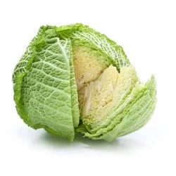 bio-grunkohl-1-u.jpg Bio Grunkohl 1 U.jpg