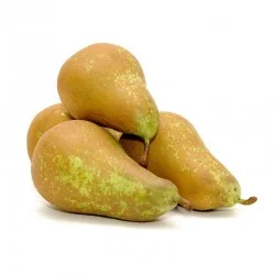 bio-konferenz-birnen-1-kg.jpg Fresh Pears 1kg - Premium Quality Mallorca Delivery