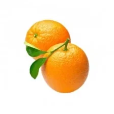 Fresh Valencia Oranges Premium Spanish Citrus – 1 kg