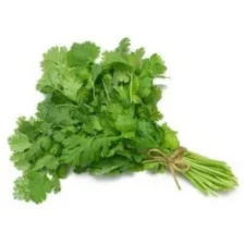Fresh Parsley - 1 Bunch