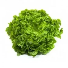 Fresh Lettuce Head - 1 Piece