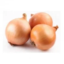 Fresh Onions 1kg - Premium Quality Cooking Essentials