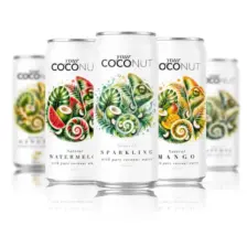 Coconaut Coconut Water 4 Variety Pack (0.32L cans)