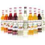 Monin French Premium Syrups - 10 Flavours (0.7L-1L)