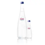 Evian Sparkling Mineral Water with Carbonation two sizes
