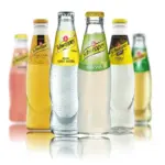Schweppes Tonic Water Assortment | Premium Mix – 24 × 0.2 L