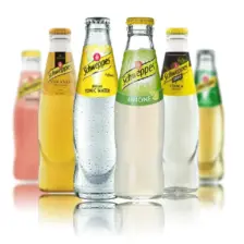 Schweppes Tonic Water Assortment 24x0.2L | Premium Mix