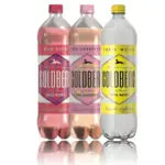Goldberg & Sons Premium Soda 3 Varieties – 6 × 1 L