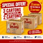 Solares Mineral Water 1 L glass bottle – 3 for the price of one, 3 x 12-pack