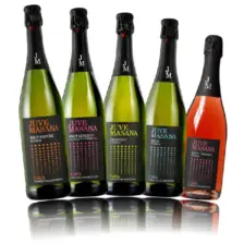 Juvé Masana Cava – 5 × 0.75 L Mixed Case